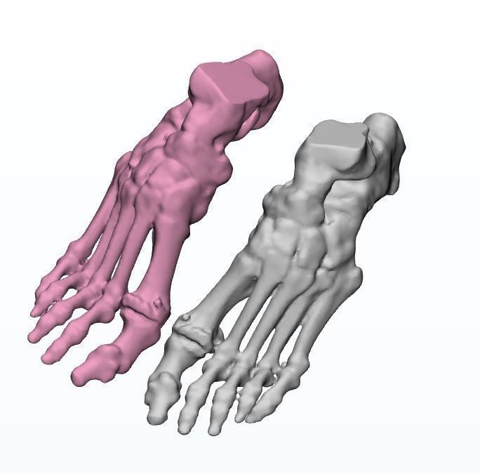 Human Feet  3D Model Female 3D print model_9