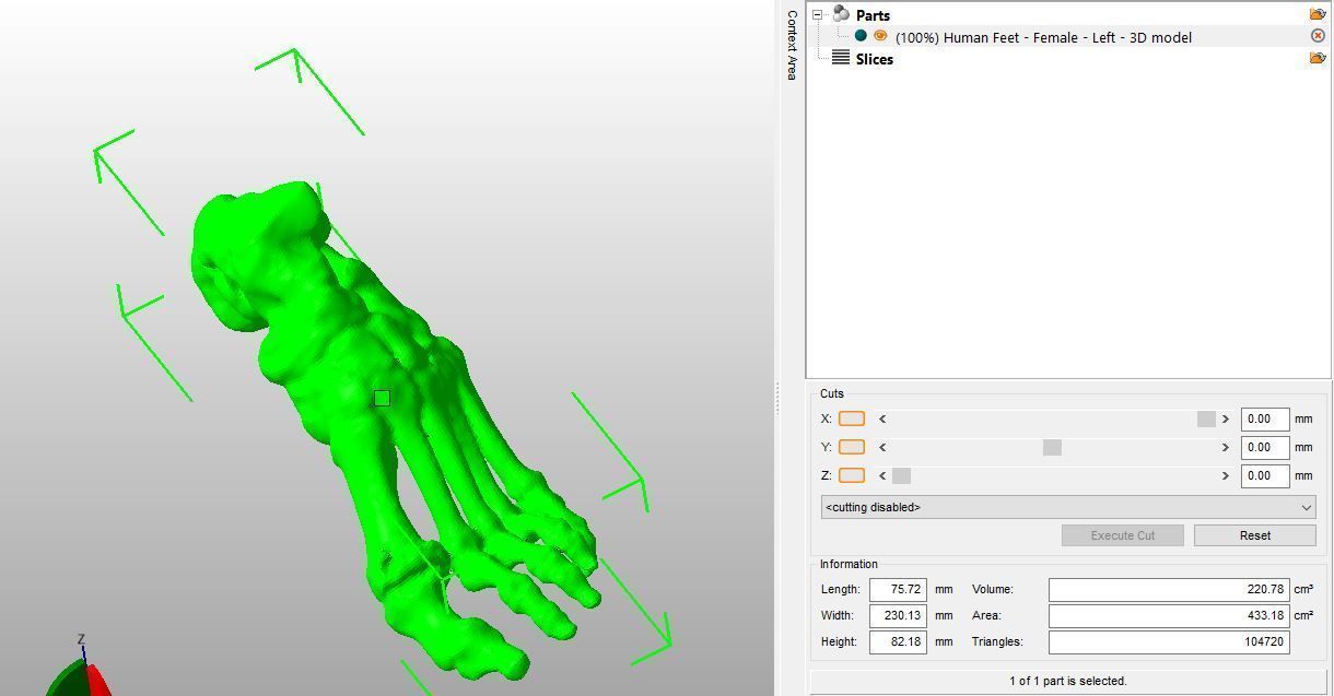 Human Feet  3D Model Female 3D print model_10