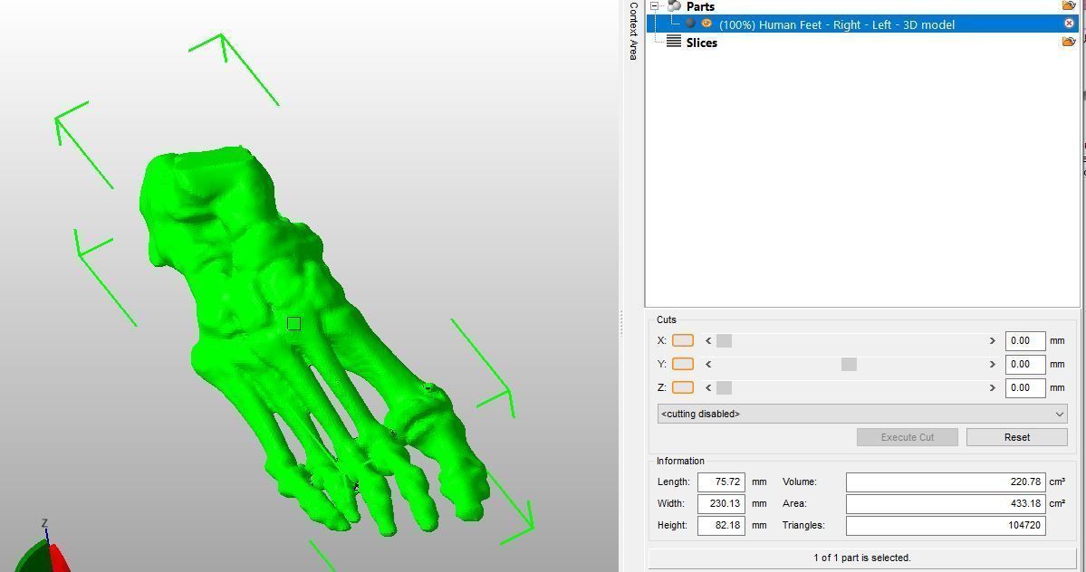 Human Feet  3D Model Female 3D print model_2