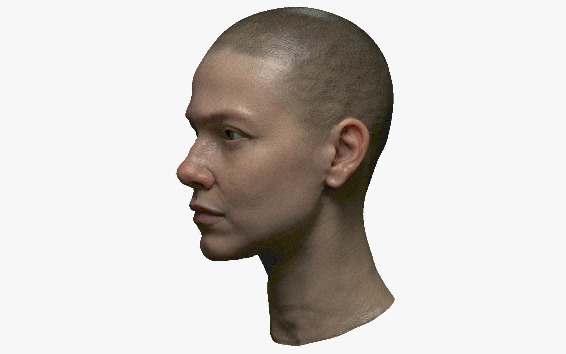 Photorealistic PBR female face  game animation ready Low-poly 3D model_10