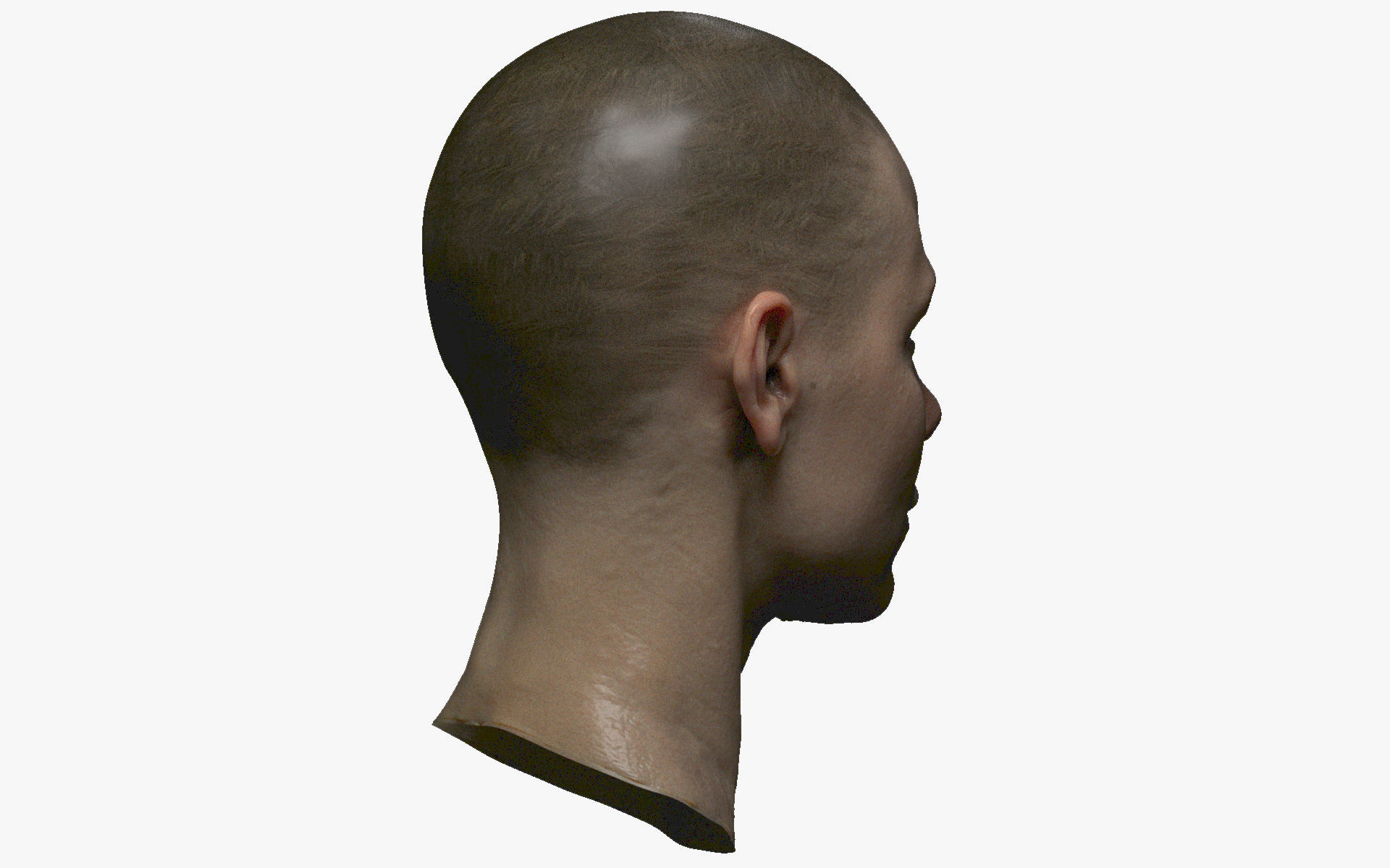 Photorealistic PBR female face  game animation ready Low-poly 3D model_4