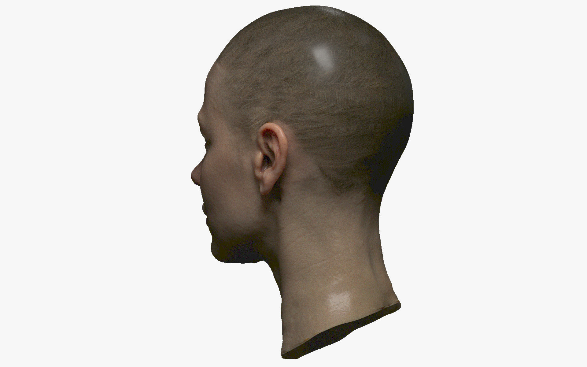 Photorealistic PBR female face  game animation ready Low-poly 3D model_8