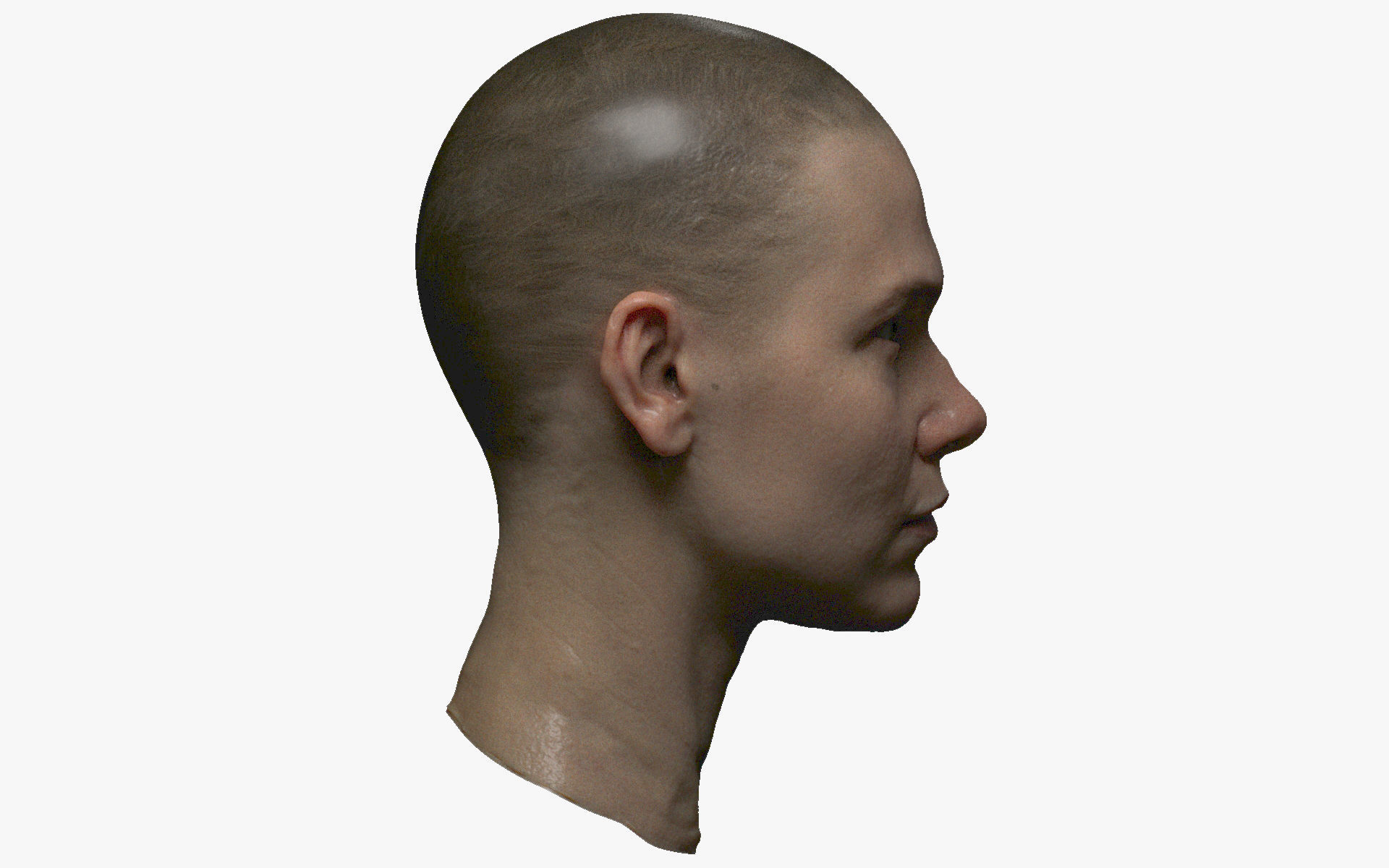 Photorealistic PBR female face  game animation ready Low-poly 3D model_3