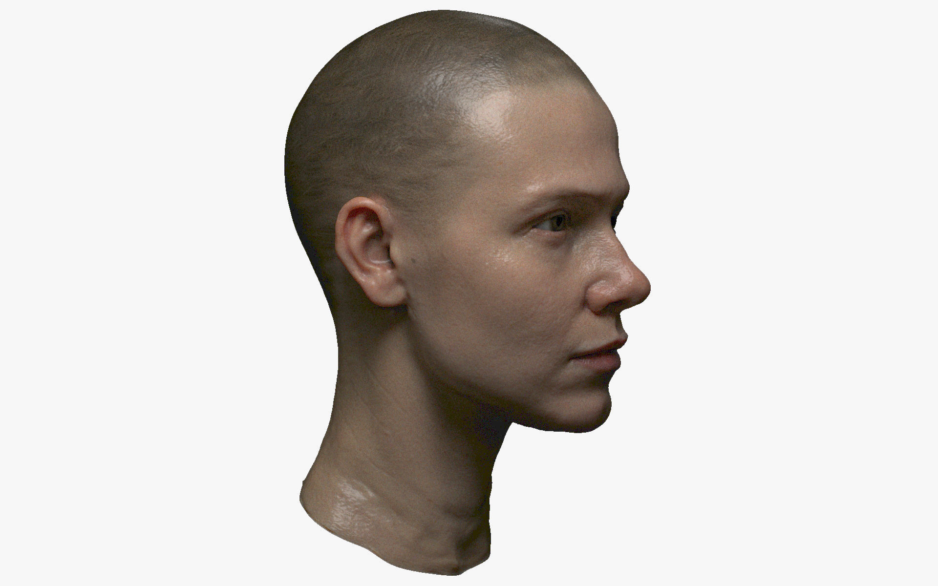 Photorealistic PBR female face  game animation ready Low-poly 3D model_2