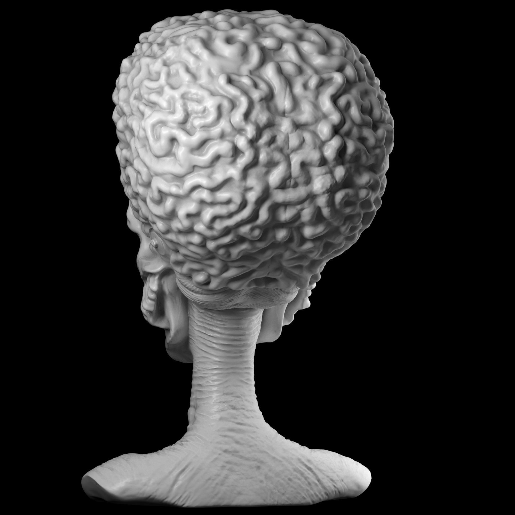 Martian 3D print model alien head 3D print model_19