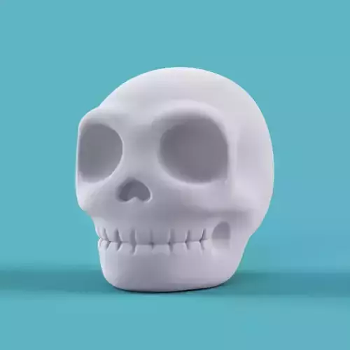 Skull Form Art Sculpture 3D print model
