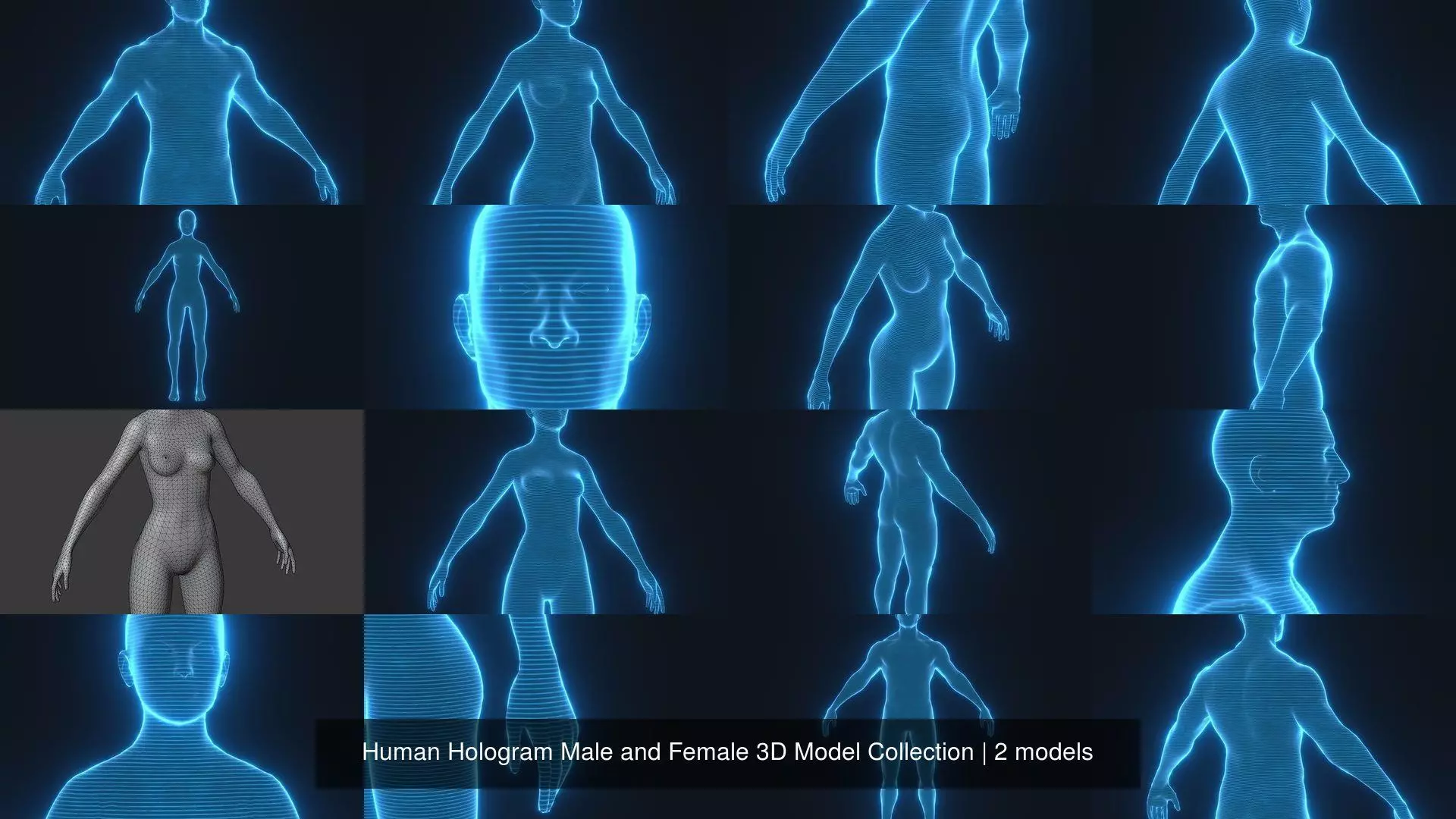 Human Hologram Male and Female 3D Model Collection _3
