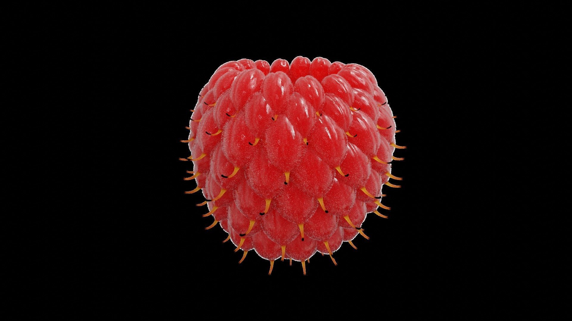 Raspberry cherry 3D model_5