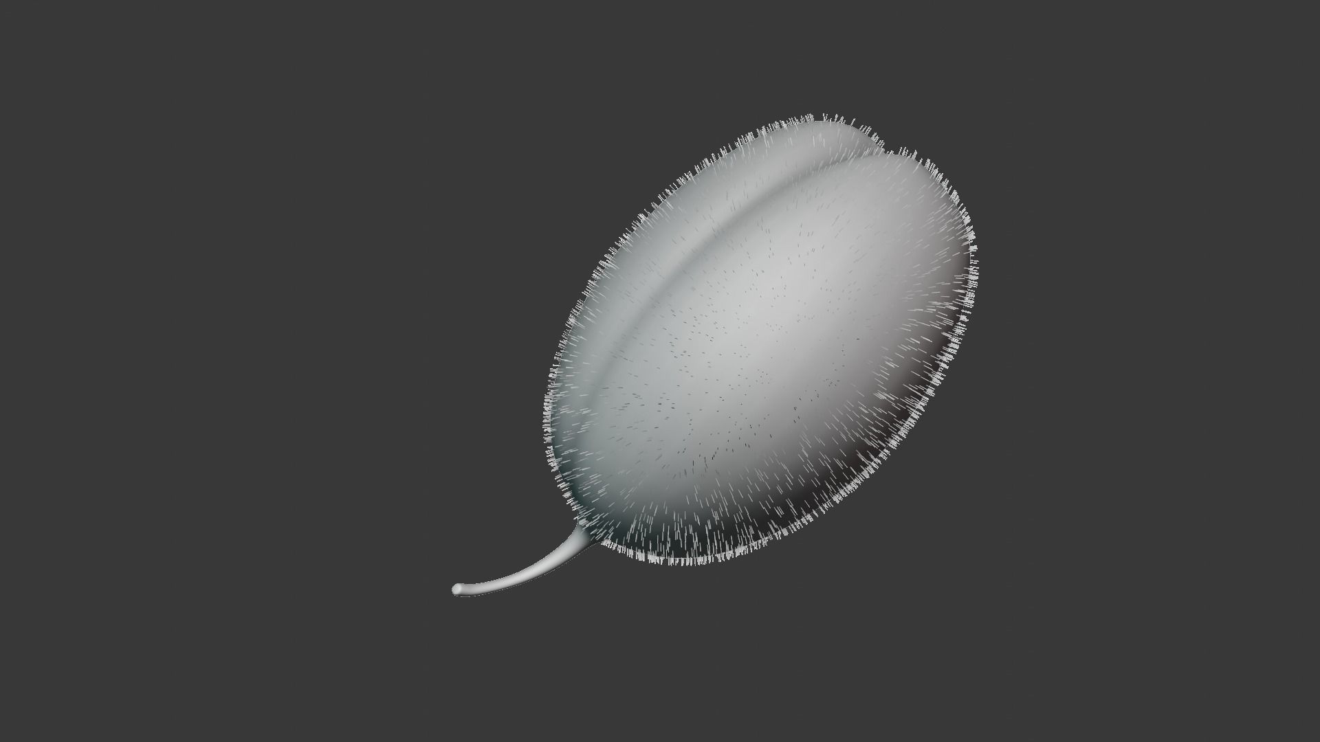 Raspberry cherry 3D model_3