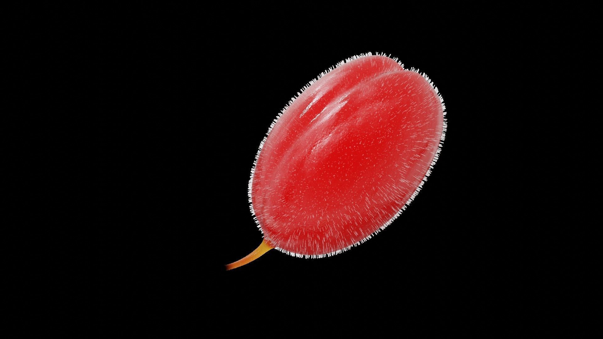 Raspberry cherry 3D model_2