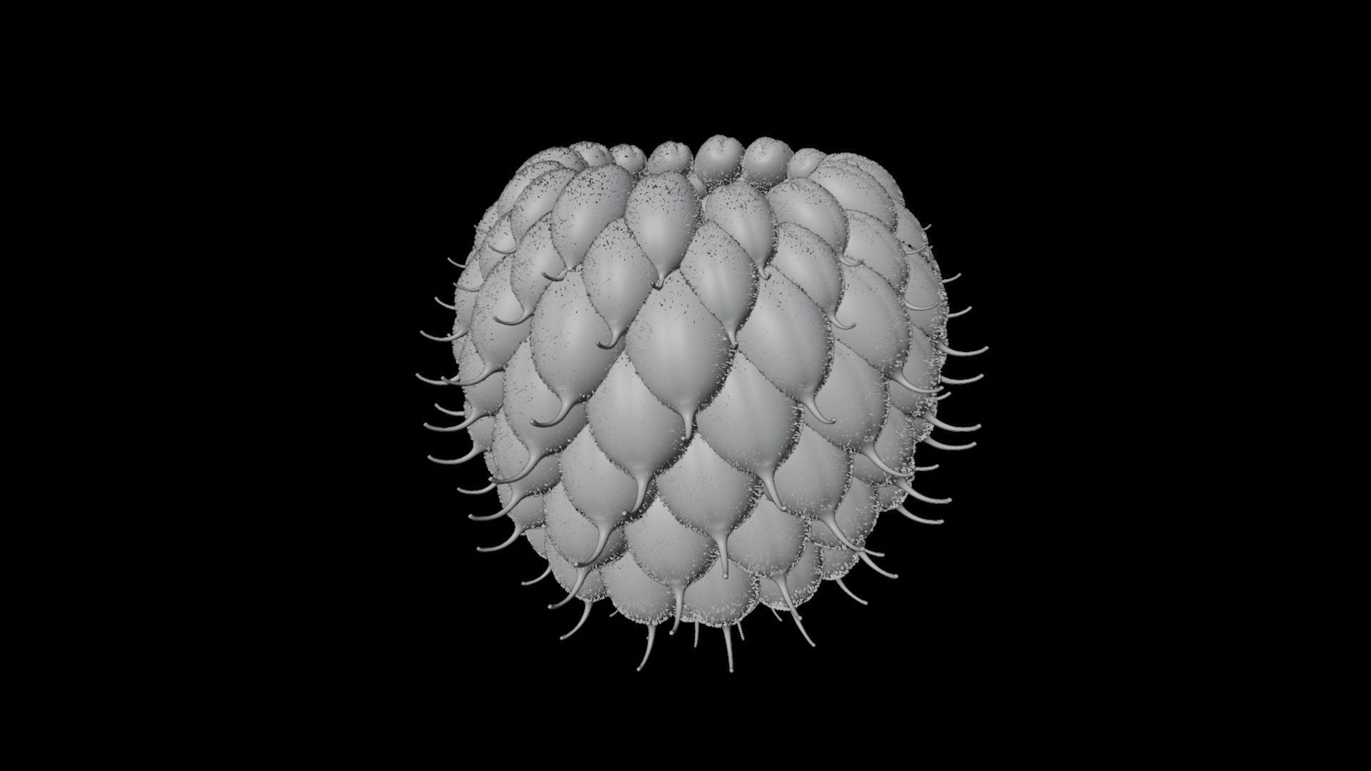 Raspberry cherry 3D model_6