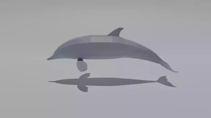 Dolphin