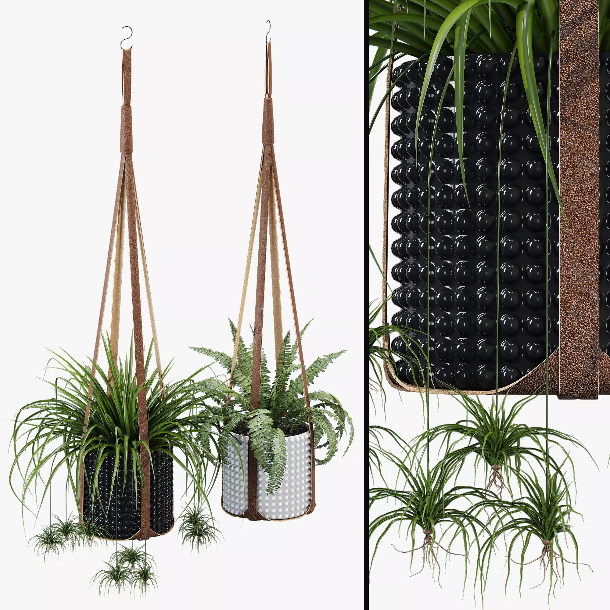 Corium Plant Hanger 3D model