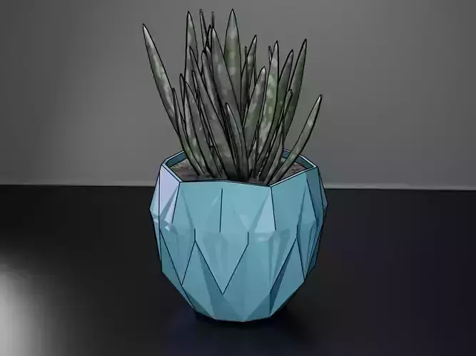 succulent pot planter 