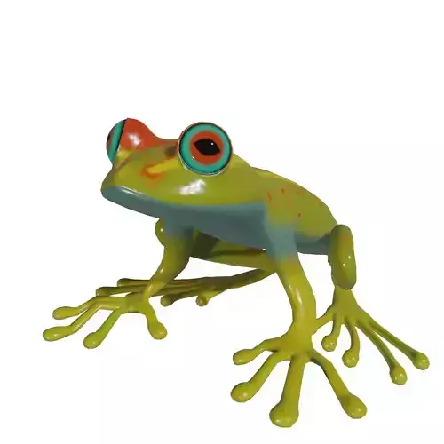 Froggy colorful frog