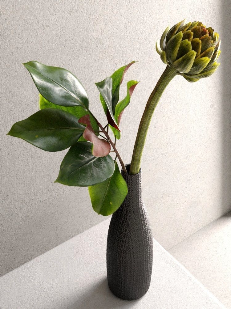 Artichoke with Leaves  3D model_2