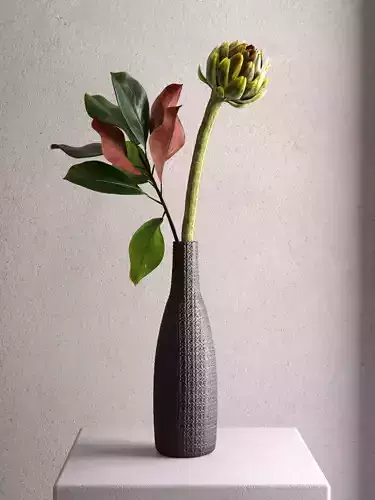 Artichoke with Leaves 