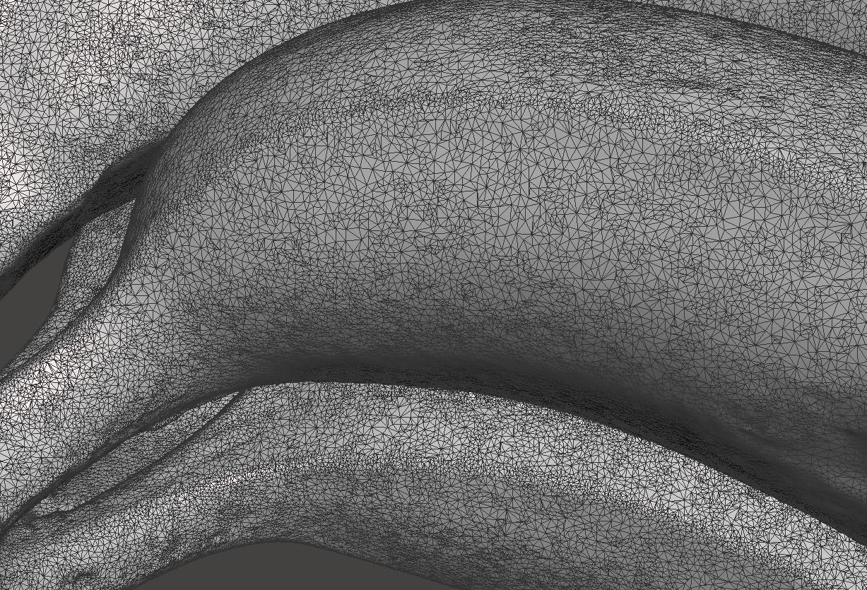 Real Banana Fruit High Detail Natural 3D Scan 3D print model_2