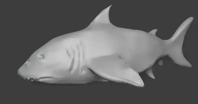 Shark