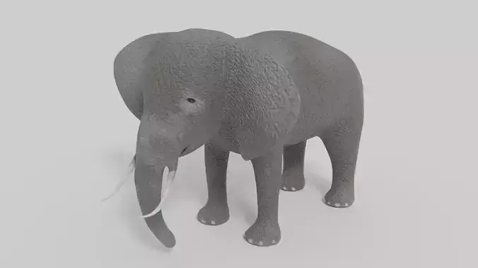 3D Elephant Model with tusks Low-poly 3D model