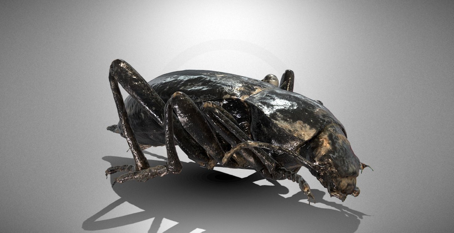 100 Historical high quality 3D scans Low-poly 3D model_45