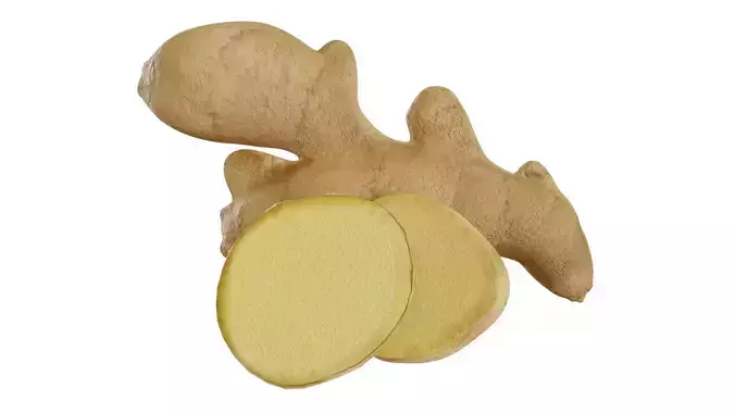 Ginger 3D model