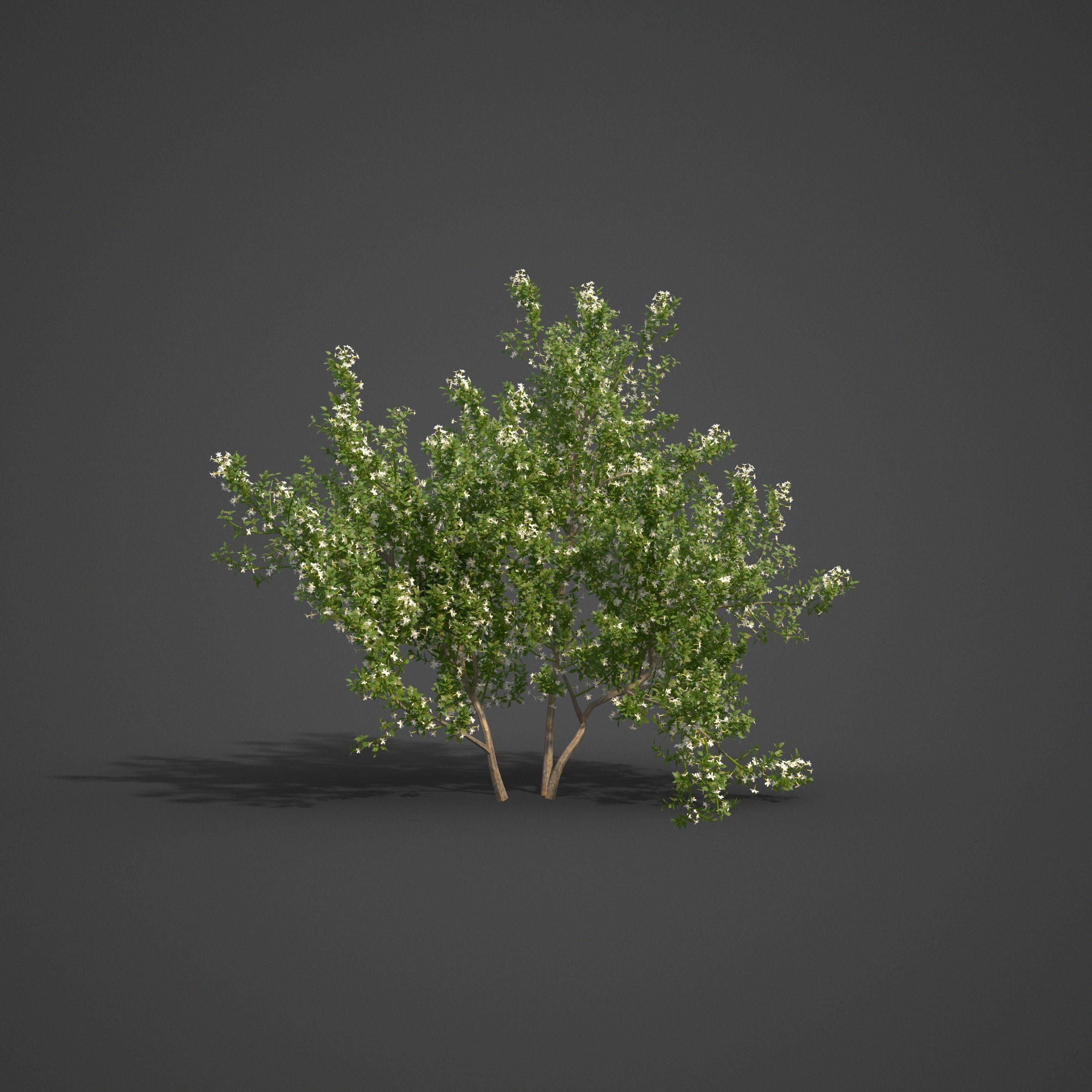 2021 PBR Asia Library 3D model_2