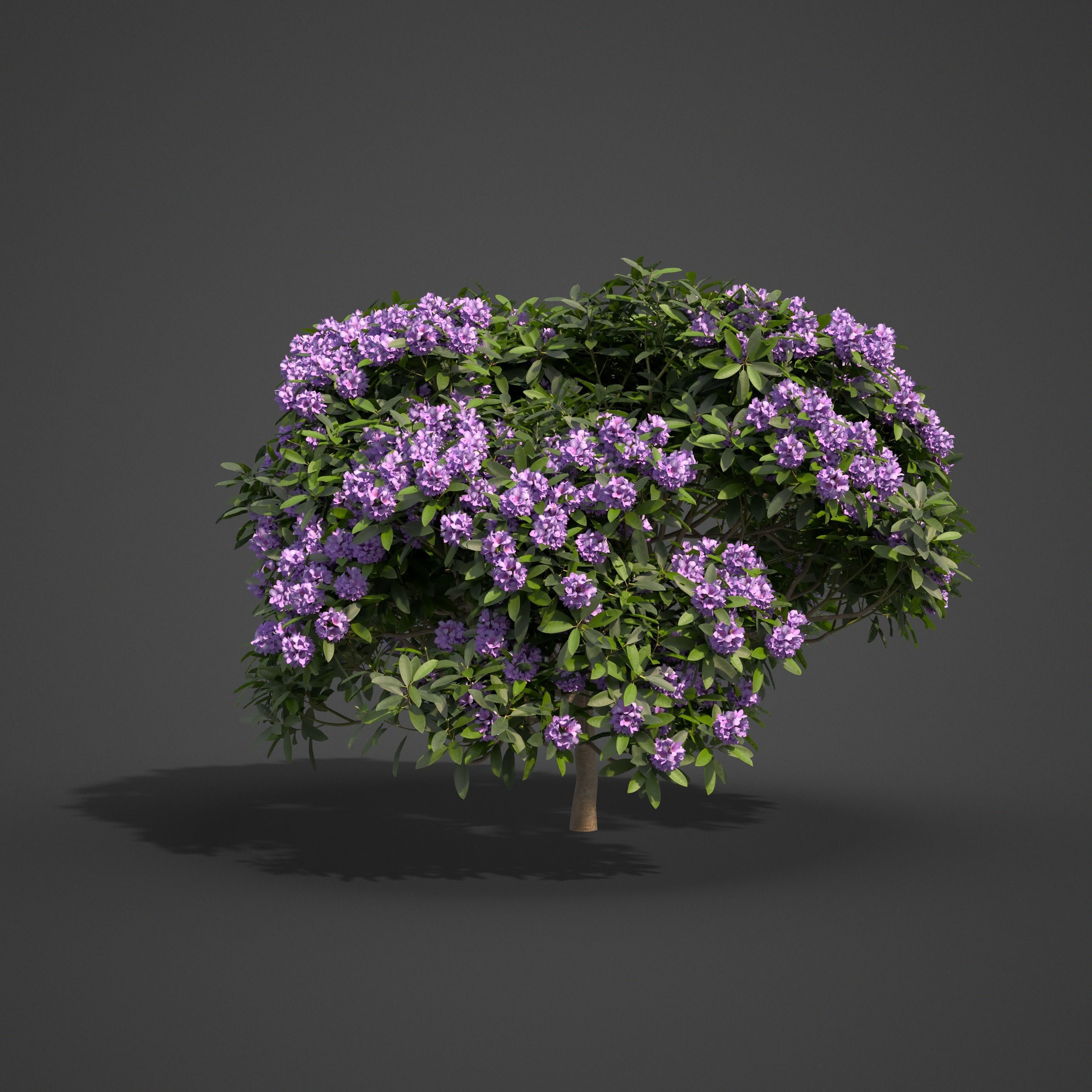 2021 PBR Asia Library 3D model_24