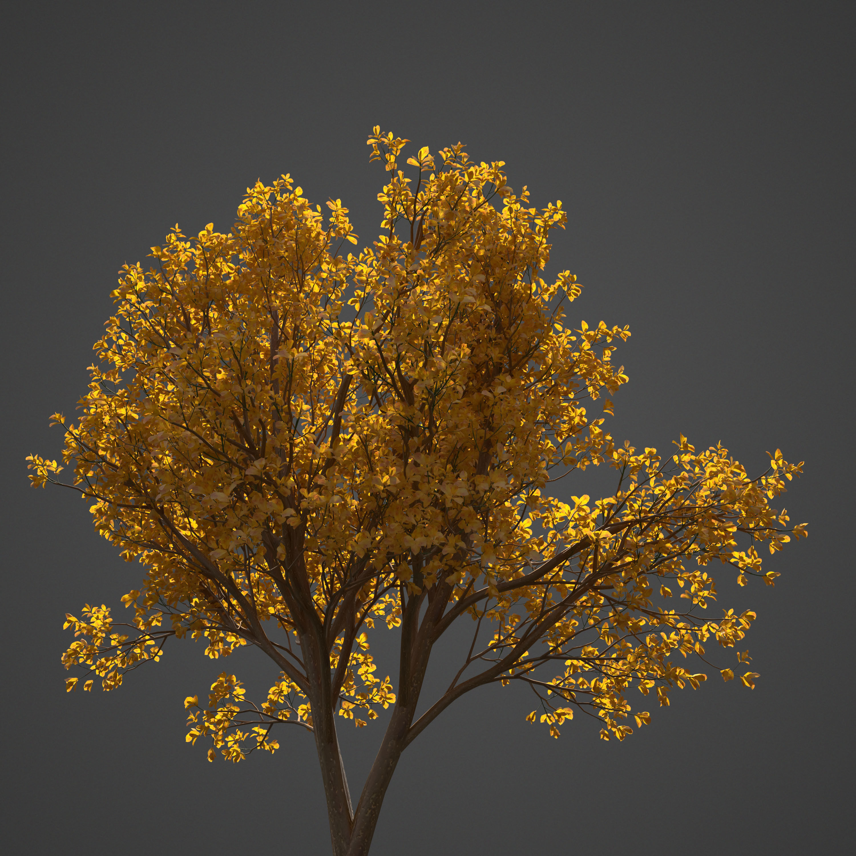 2021 PBR Asia Library 3D model_18