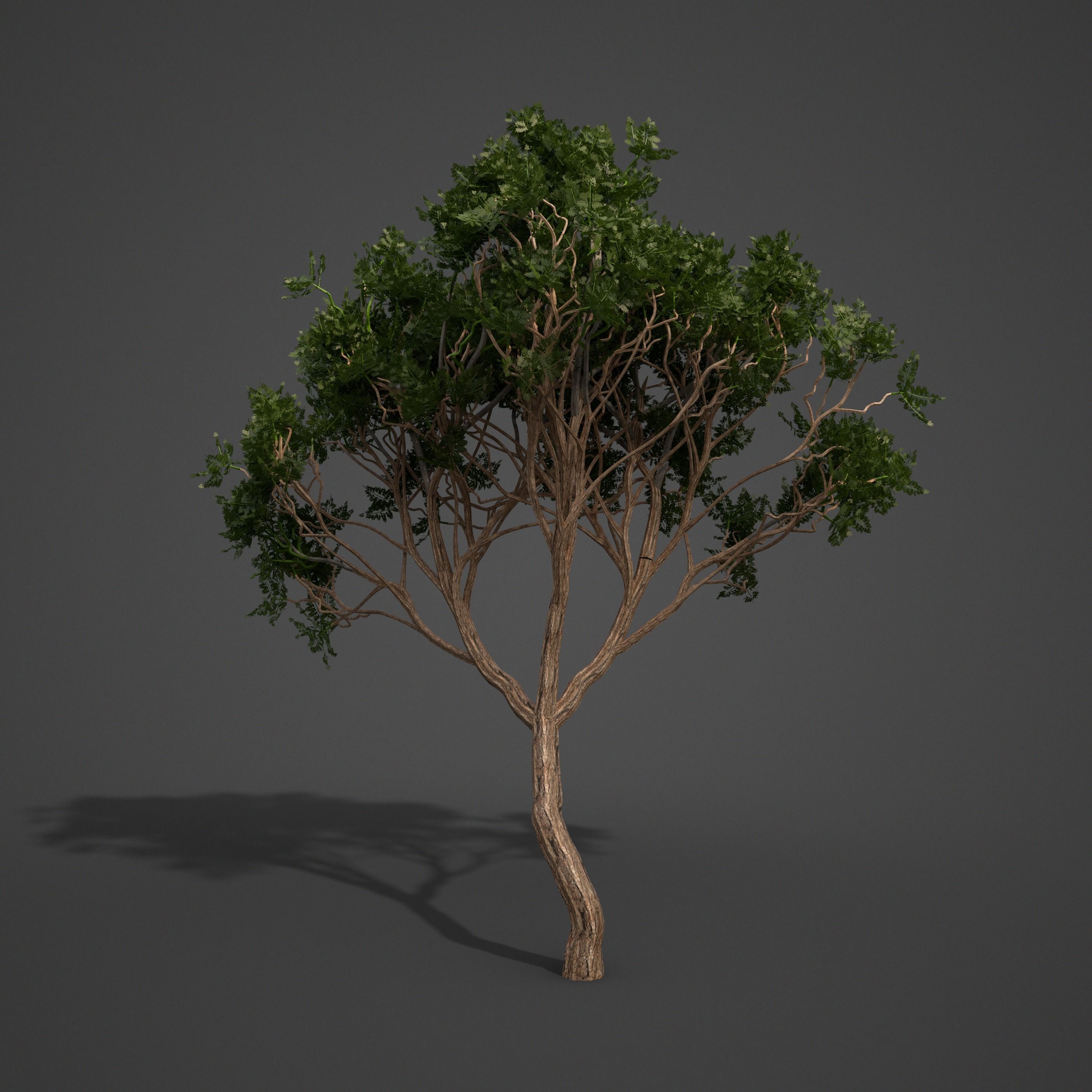 2021 PBR Asia Library 3D model_6