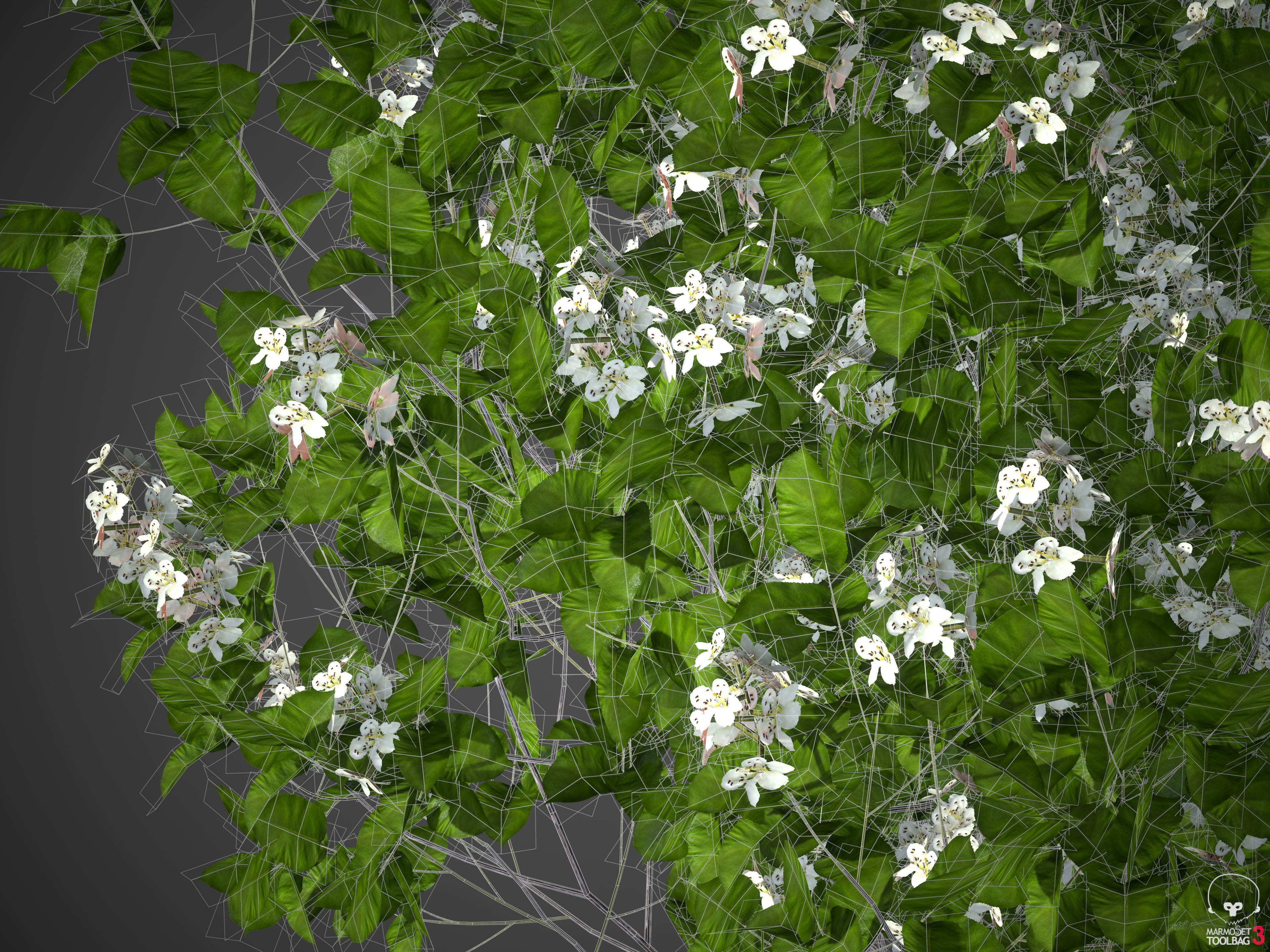 2021 PBR Asia Library 3D model_29