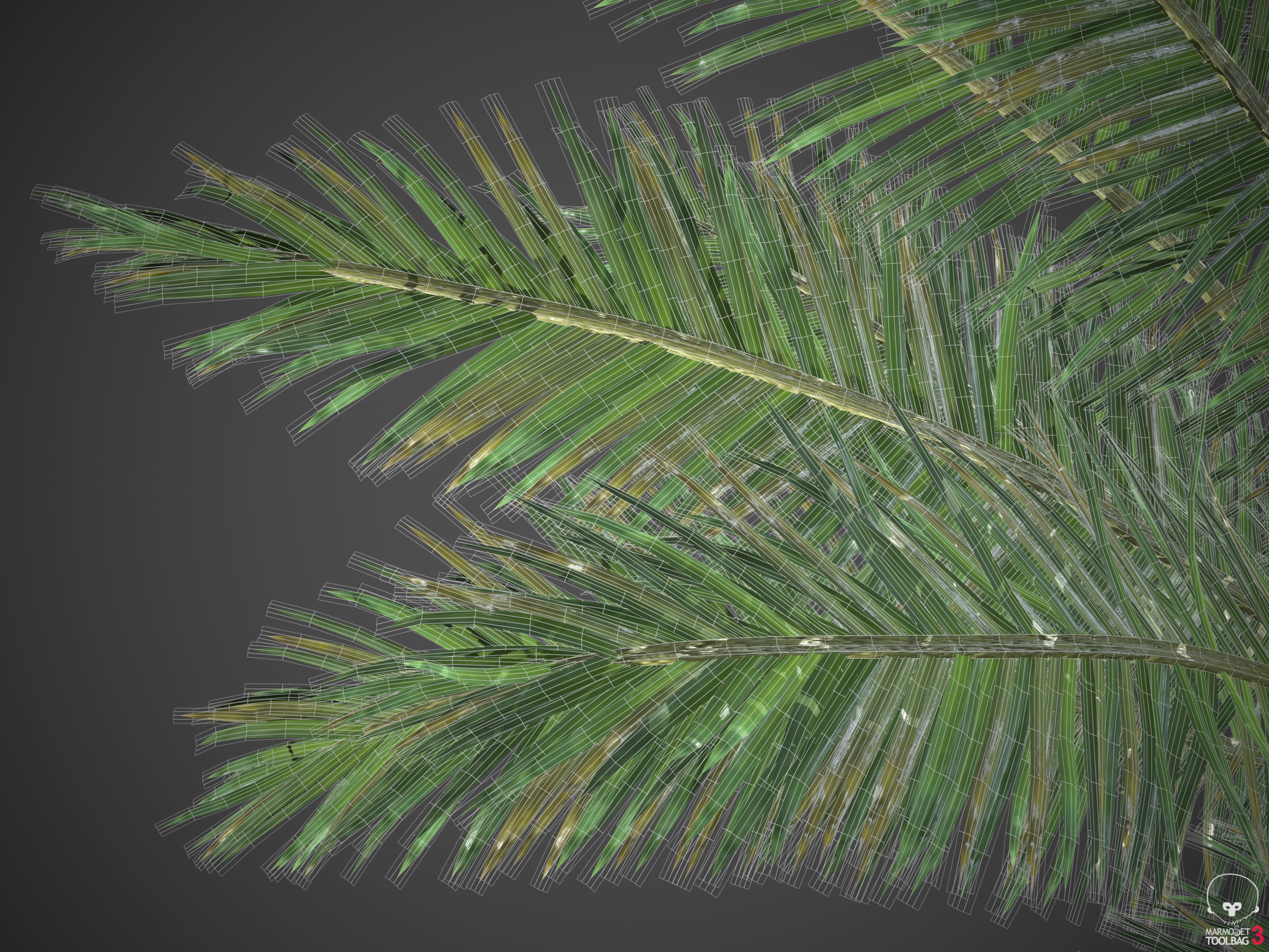 2021 PBR Asia Library 3D model_20