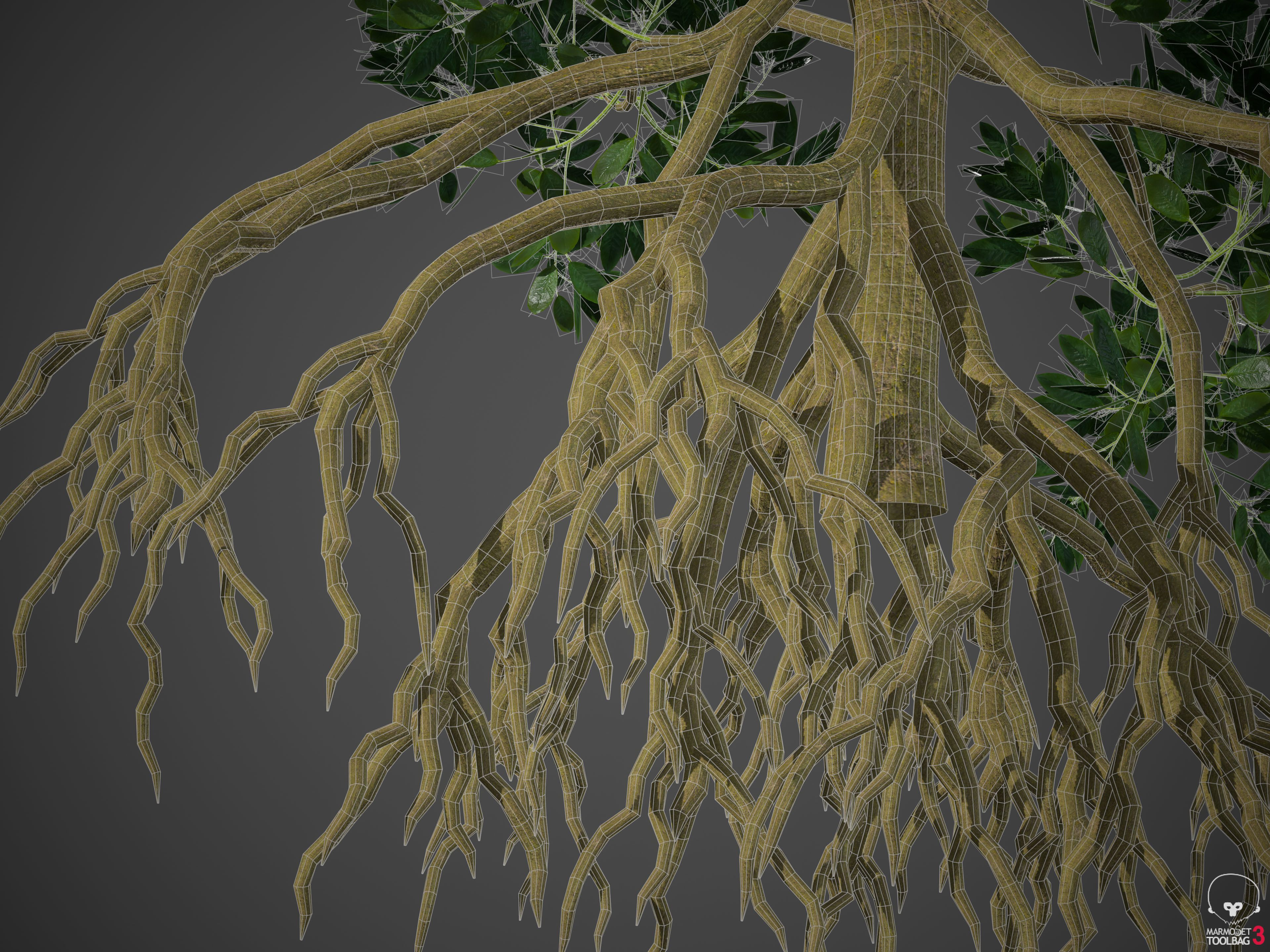 2021 PBR Asia Library 3D model_21