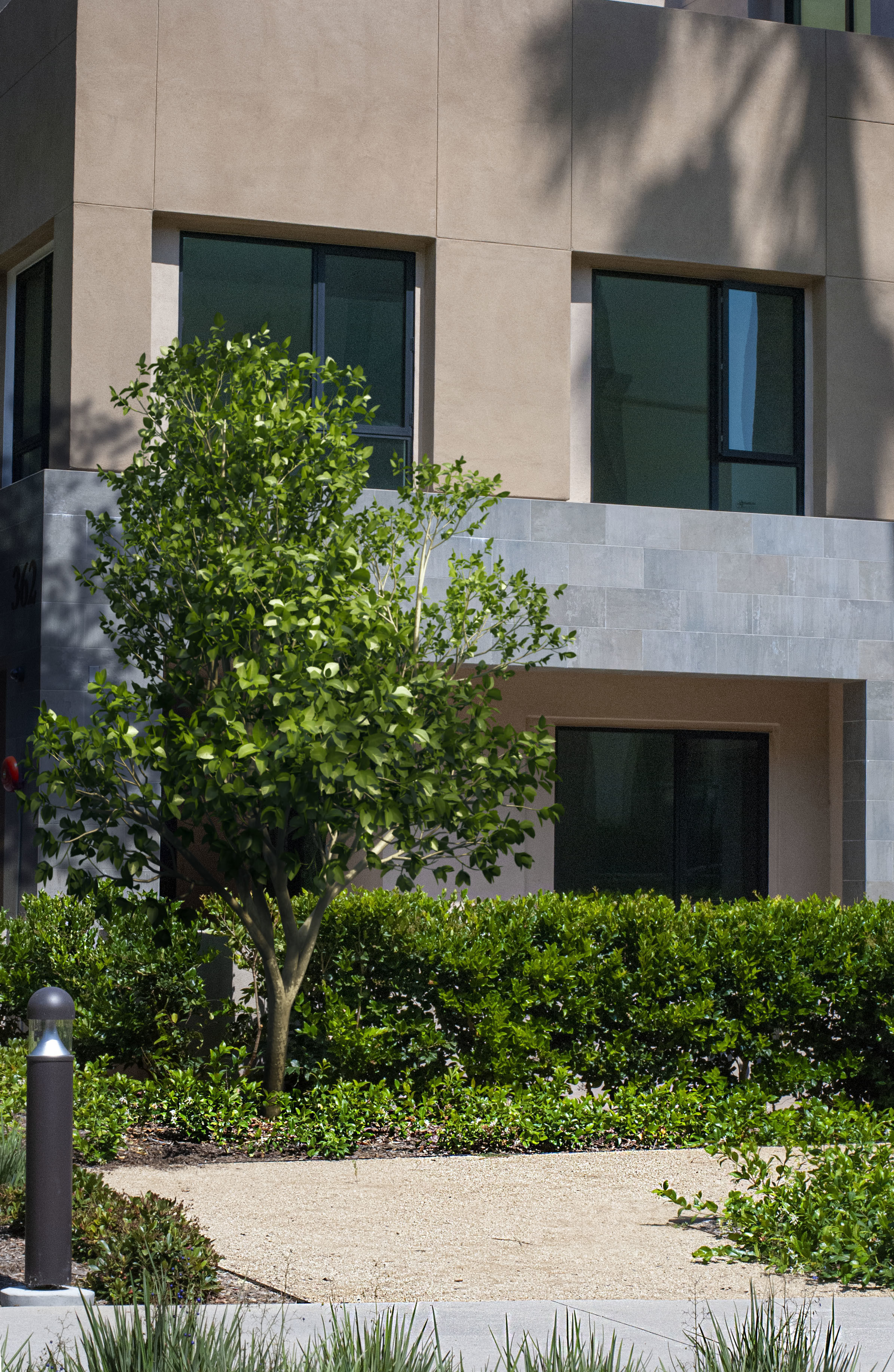 2021 PBR Asia Library 3D model_15