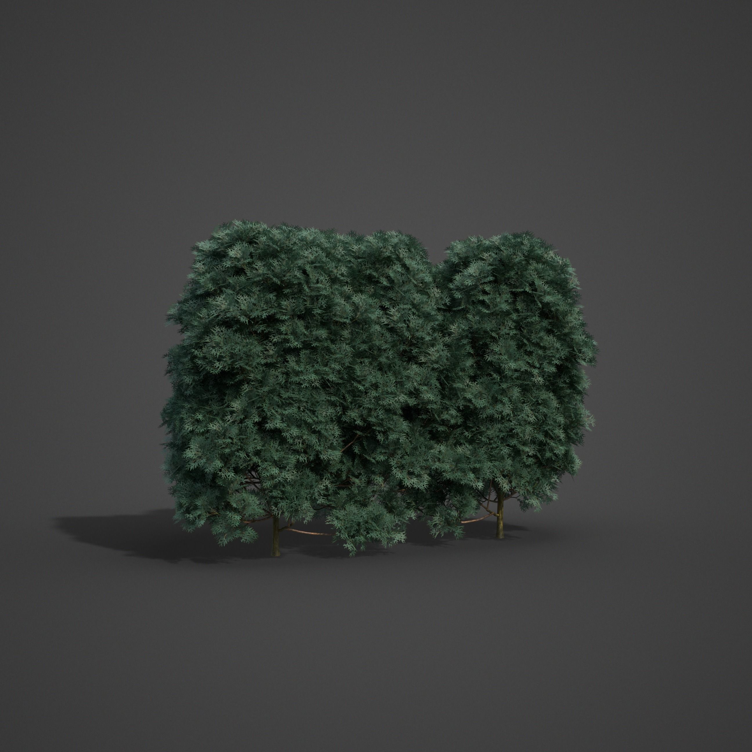 2021 PBR Landscaping Library  3D model_14