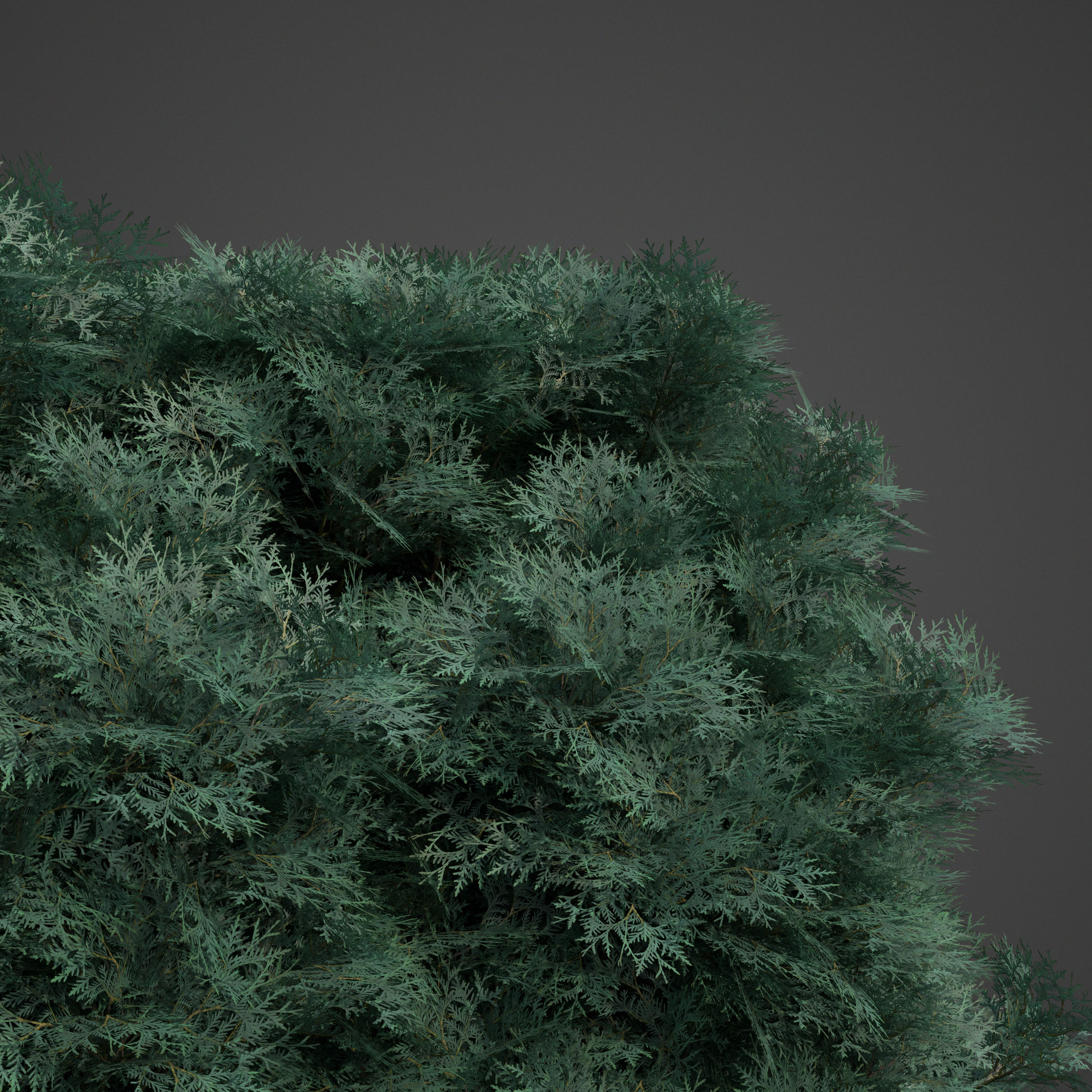 2021 PBR Landscaping Library  3D model_15