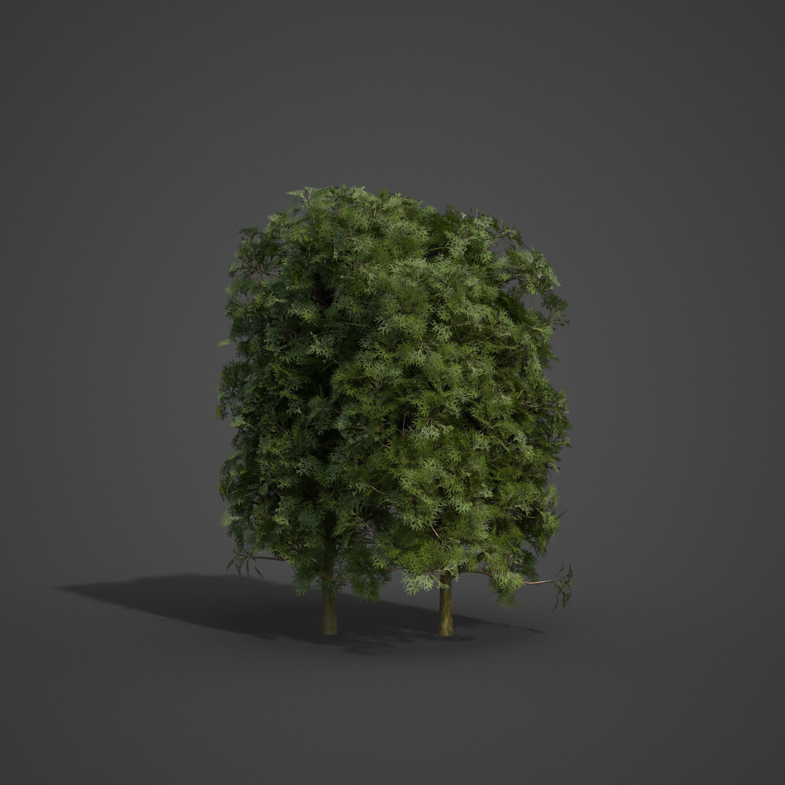 2021 PBR Landscaping Library  3D model_13