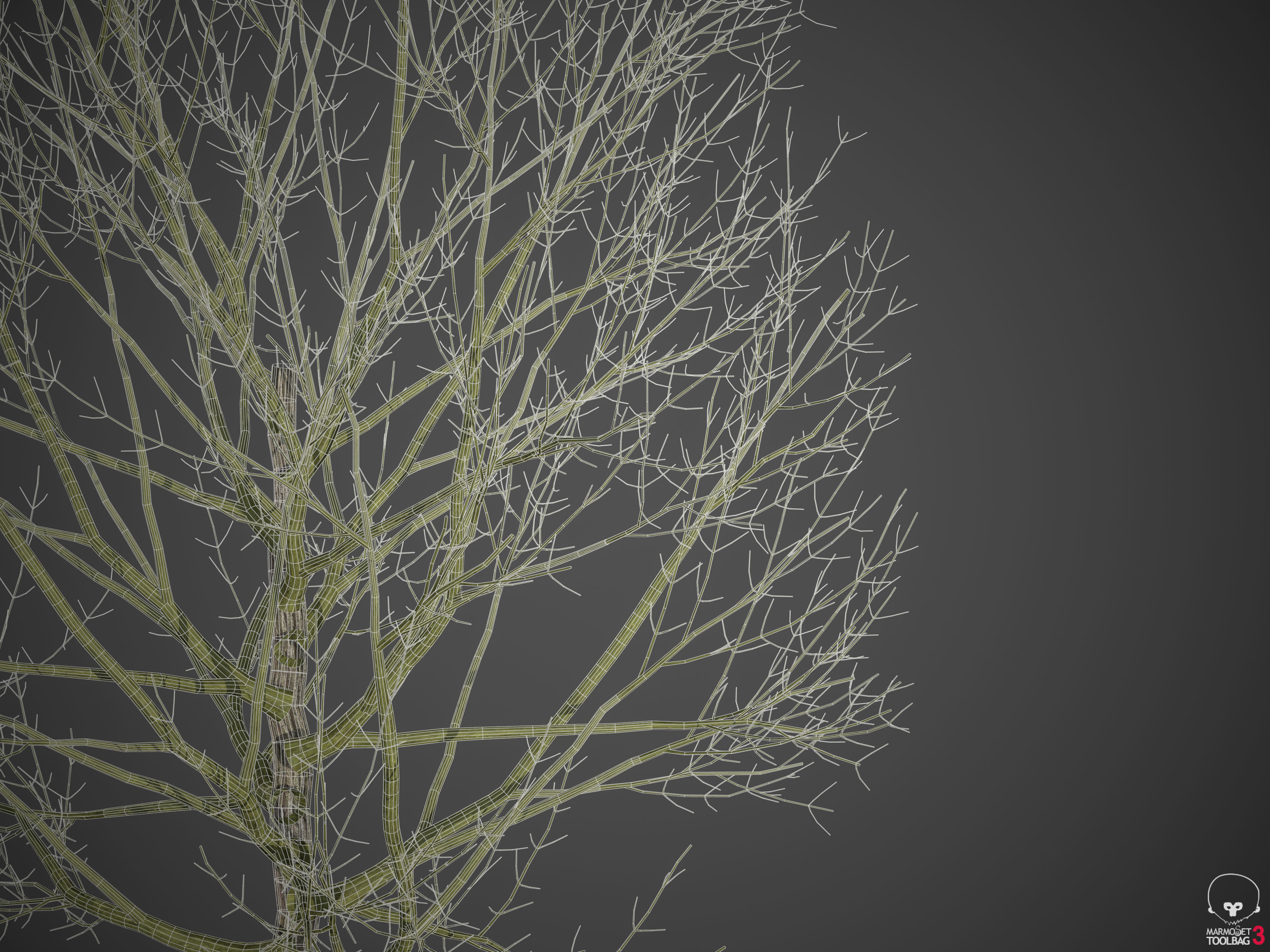 2021 PBR Landscaping Library  3D model_24