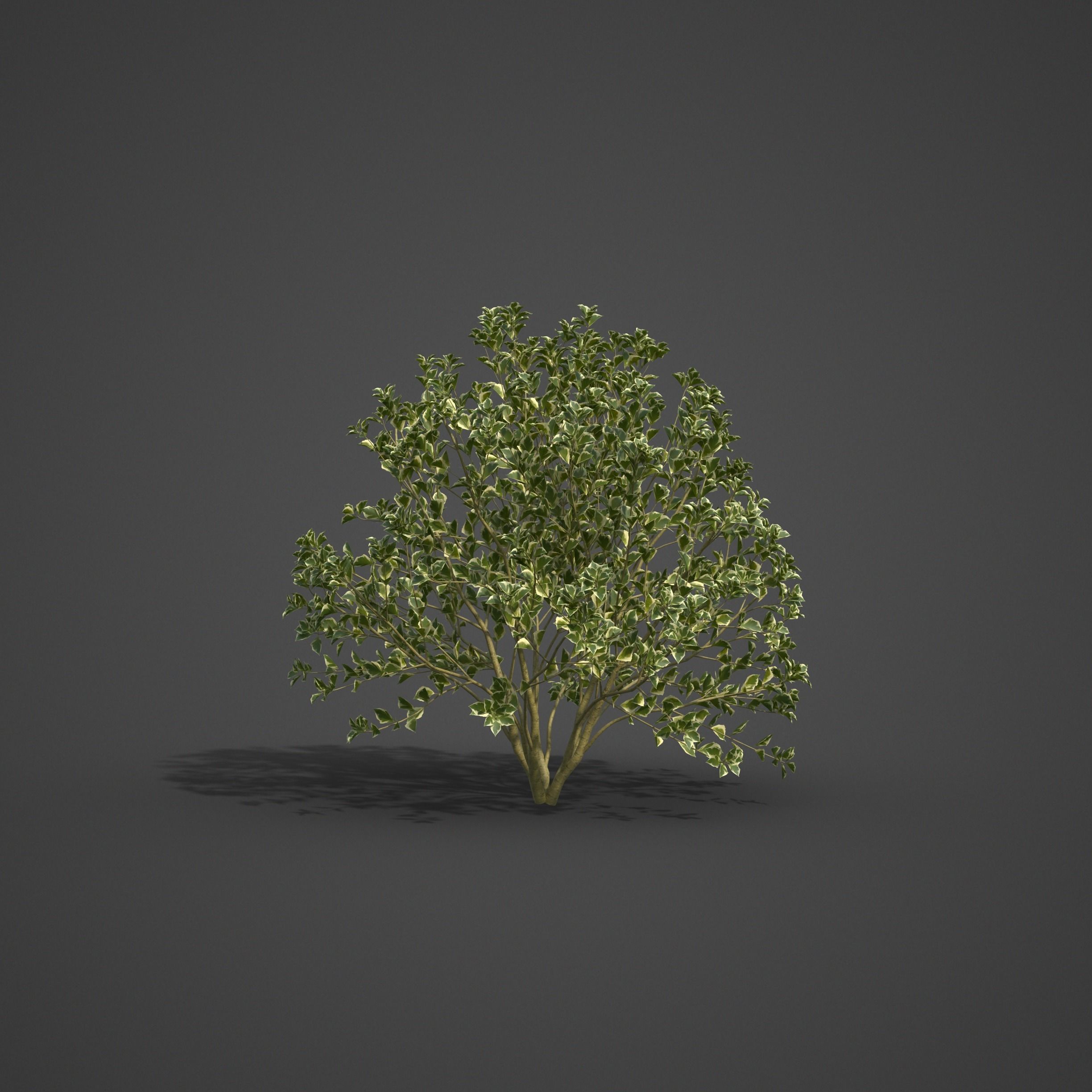 2021 PBR Landscaping Library  3D model_17