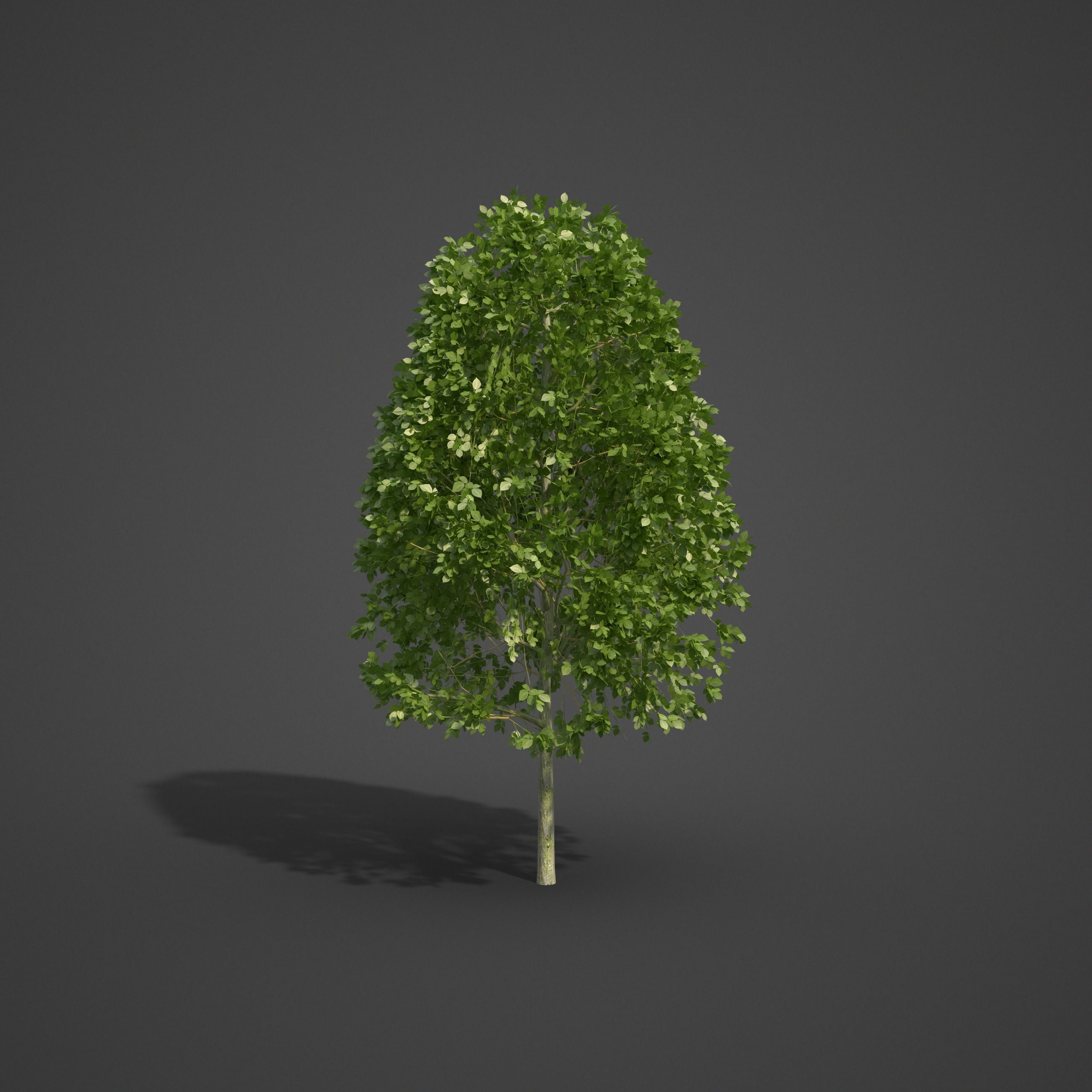 2021 PBR Landscaping Library  3D model_10