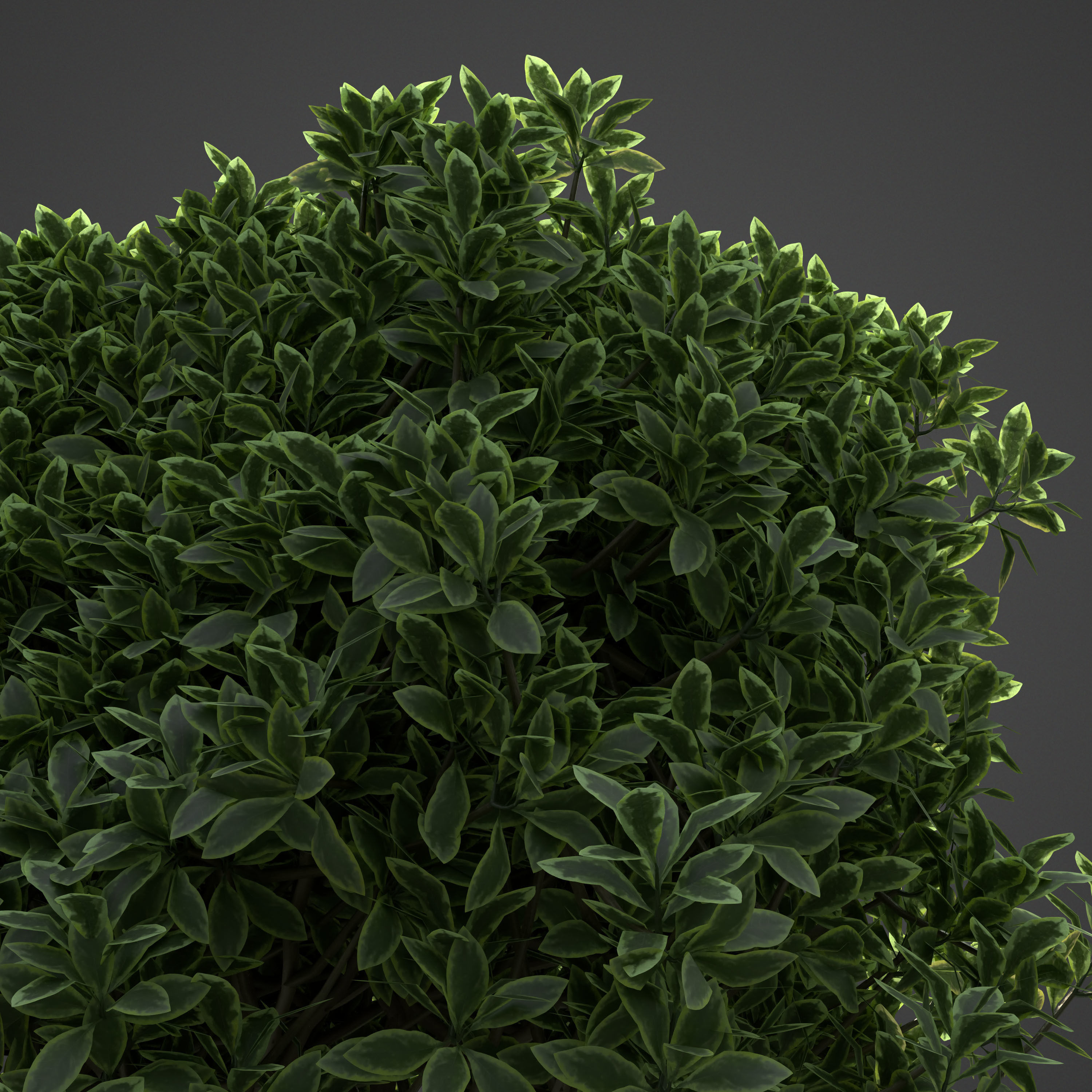 2021 PBR Landscaping Library  3D model_21