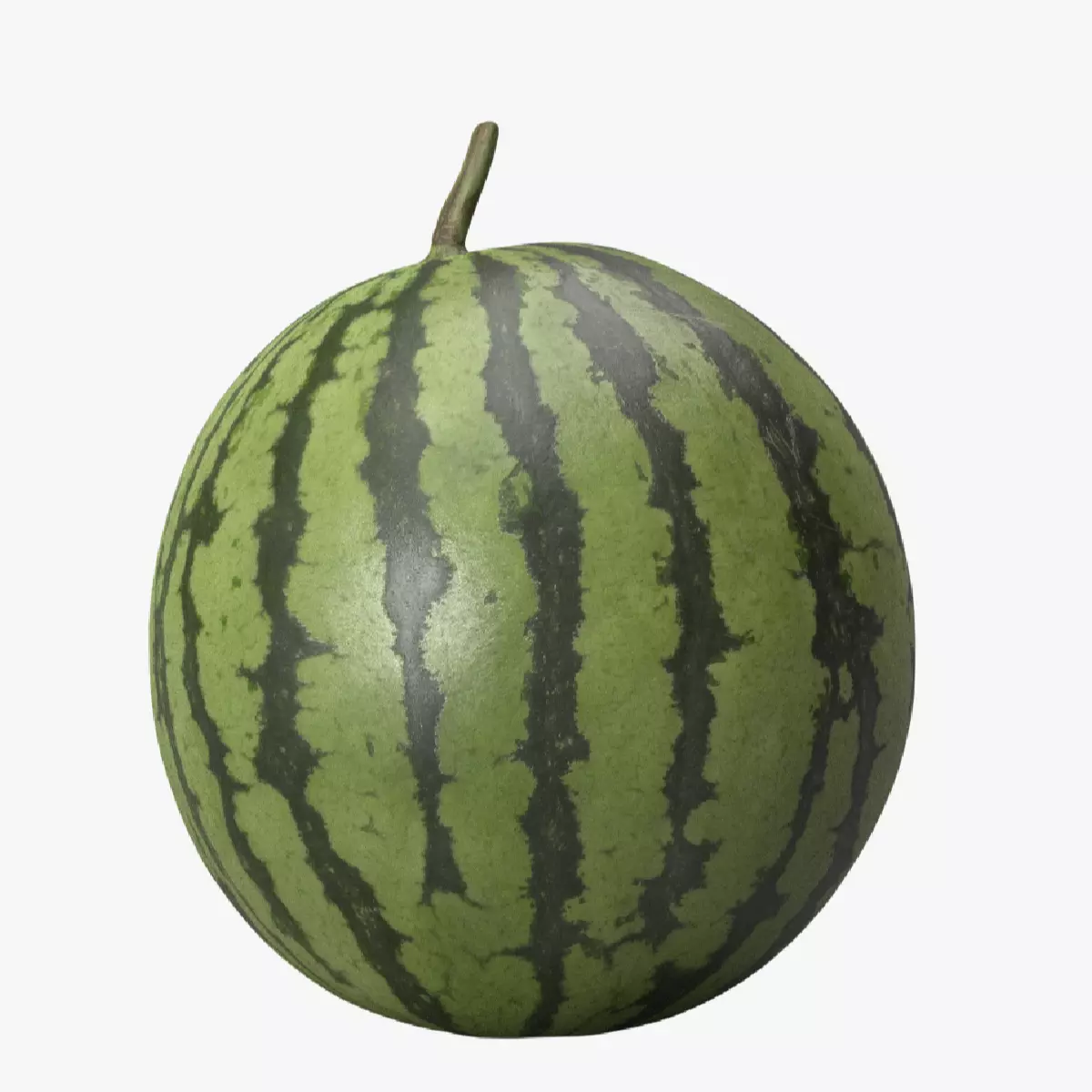 Watermelon Scan Free 3D model