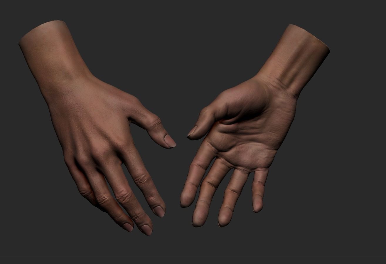 Female Hand 3D model_6