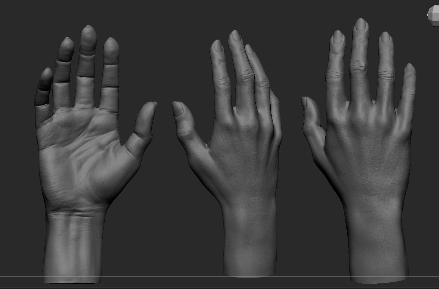 Female Hand 3D model_4