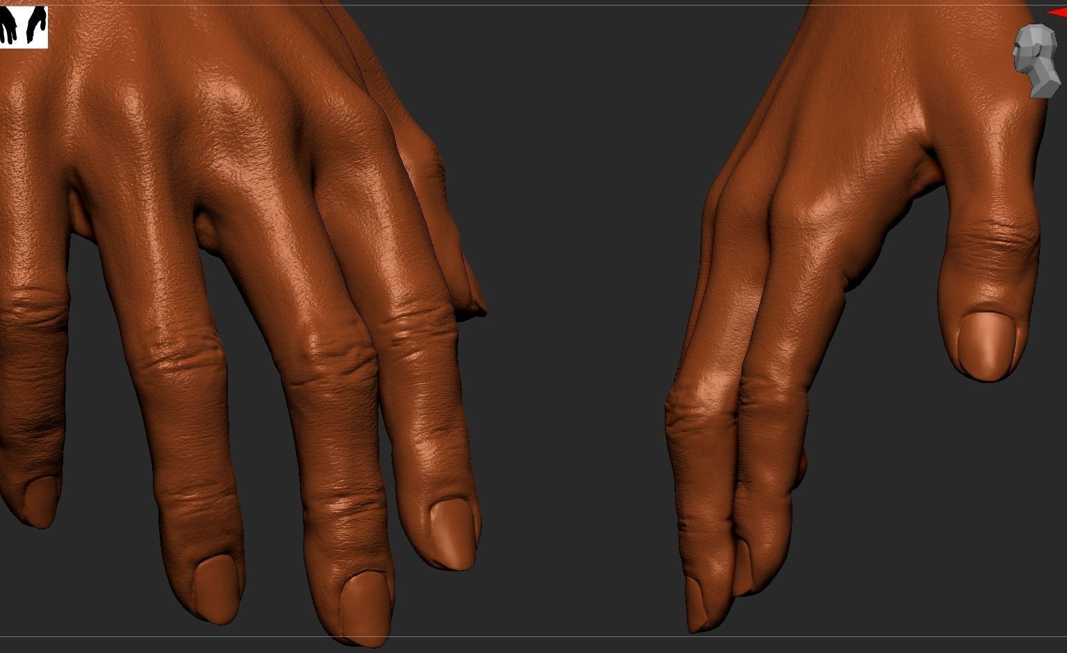 Female Hand 3D model_7