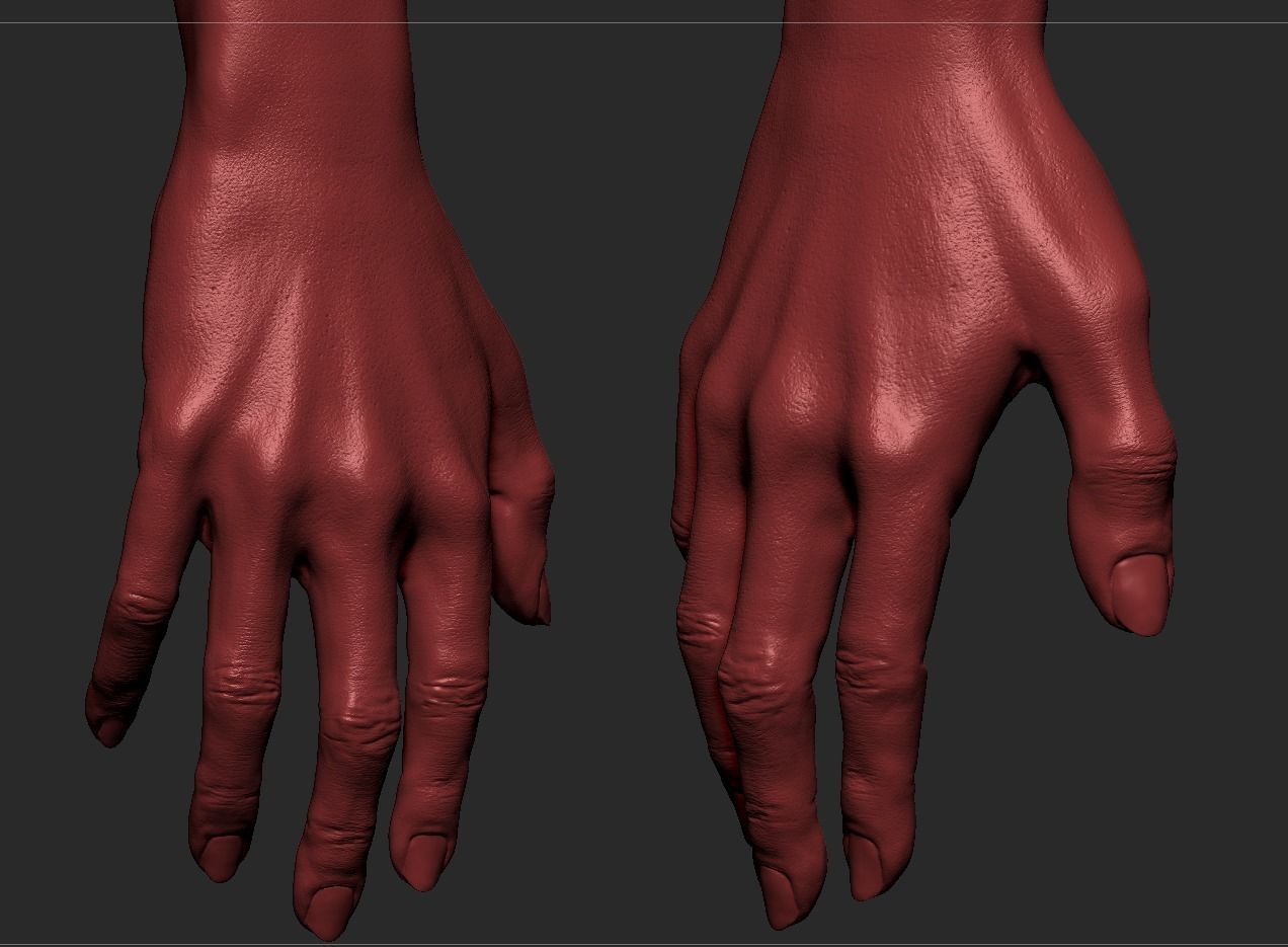 Female Hand 3D model_1