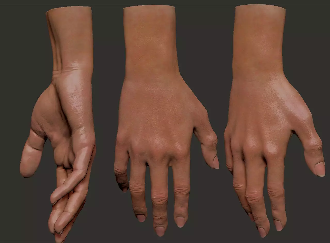 Female Hand 3D model_0
