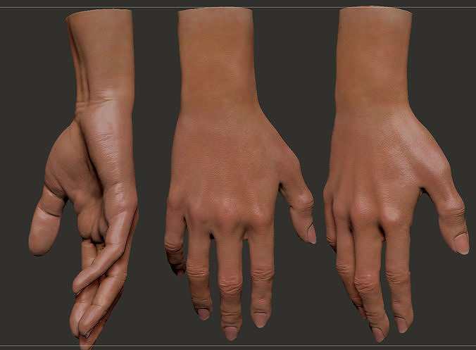 Female Hand 3D model
