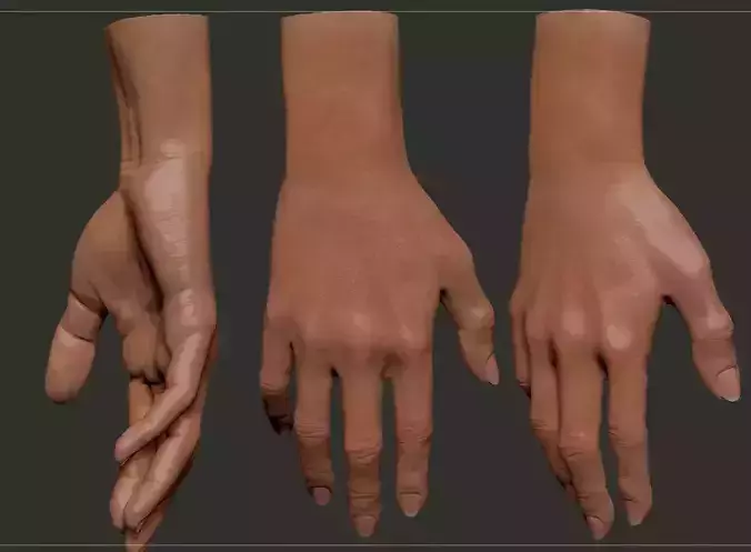 Female Hand 3D model