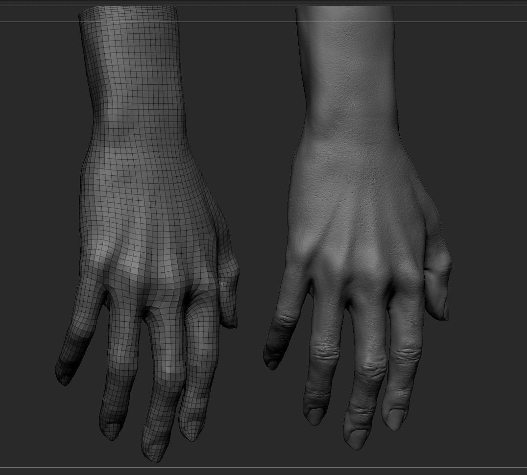 Female Hand 3D model_10